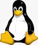 flipper